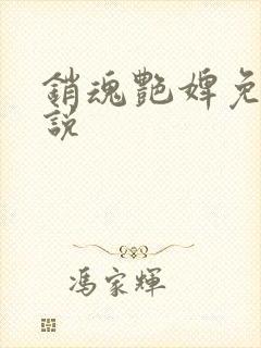 销魂艳婢免费小说封面