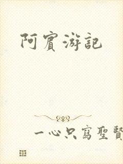 阿宾游记封面