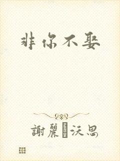 非你不娶