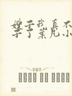 嫂子我真不是傻子了叶凡小说离线下载
