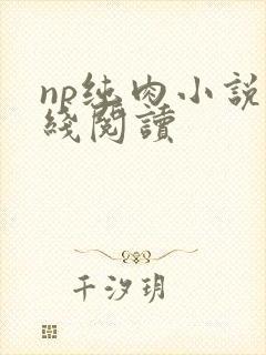 np纯肉小说在线阅读