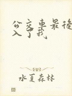 公交车最后一排入了我封面