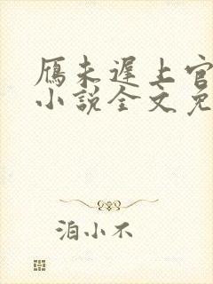 雁未迟上官穿越小说全文免费阅读