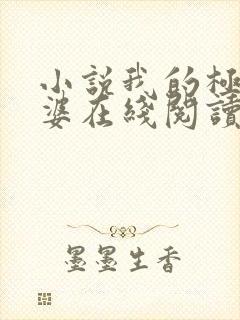 小说我的极品老婆在线阅读全文