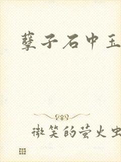 孽子石中玉封面