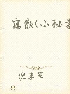 窃欢(小秘书)