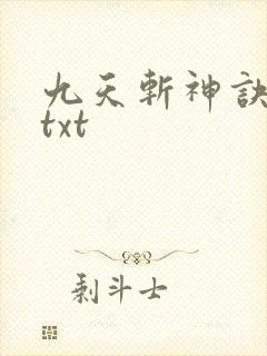 九天斩神诀林辰txt