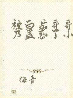 被白痴哥哥的大乃蛊惑了小说在线阅读