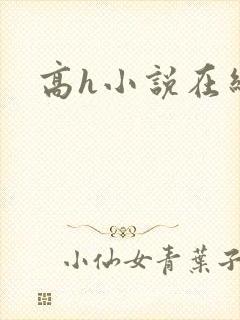 高h小说在线看