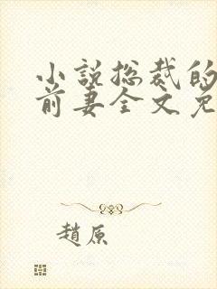 小说总裁的替身前妻全文免费阅读封面