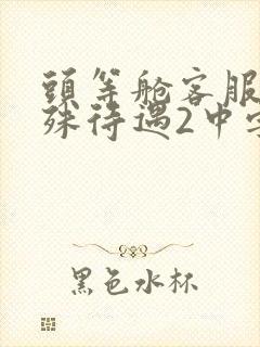 头等舱客服的特殊待遇2中字
