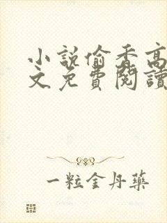 小说偷香高手全文免费阅读