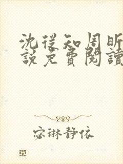 沈从知周昕夏小说免费阅读