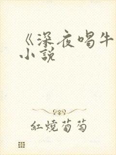 《深夜喝牛奶》小说