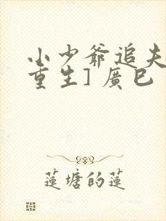 小少爷追夫记[重生] 广巳