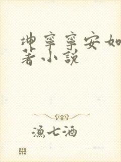 坤宁宁安如梦原著小说