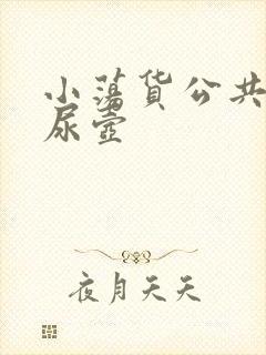 小荡货公共精厕尿壶封面