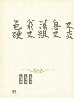 色翁荡息又大又硬又粗又爽