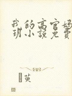 我的高官妈妈苏玥小说免费阅读最新