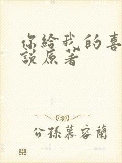 你给我的喜欢小说原著