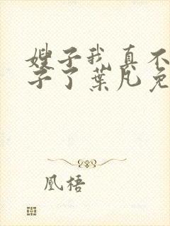 嫂子我真不是傻子了叶凡免费阅读全文小说封面