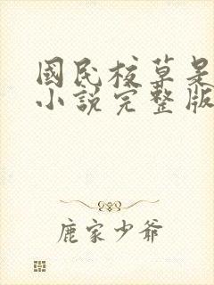 国民校草是女生小说完整版