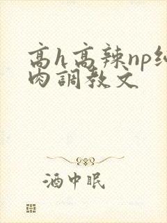 高h高辣np纯肉调教文
