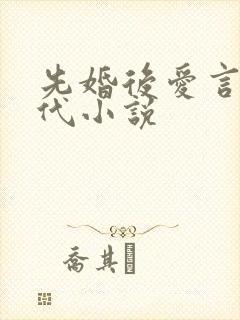 先婚后爱言情现代小说封面