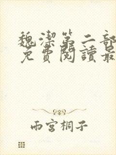 魏洁第二部小说免费阅读最新章节封面