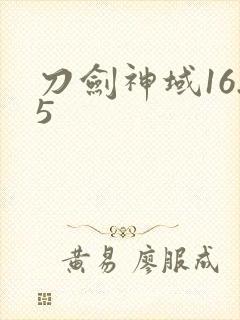 刀剑神域16.5