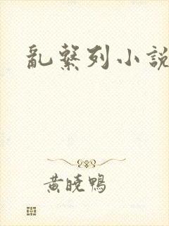 乱系列小说封面