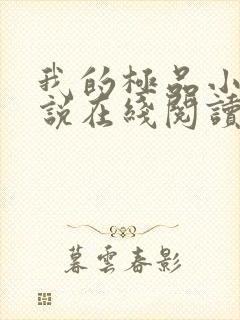 我的极品小姨小说在线阅读全文封面