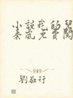 小说我的儿媳是秦岚免费阅读