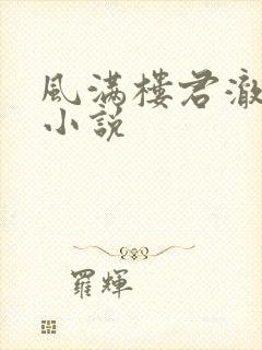 风满楼君澈原著小说