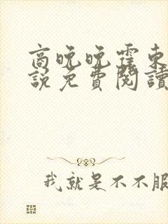 商晚晚霍东铭小说免费阅读笔趣阁