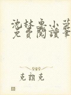 沈林鲁小荣小说免费阅读笔趣阁