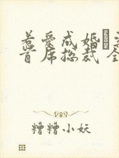 惹爱成婚·染指首席总裁 全文阅读