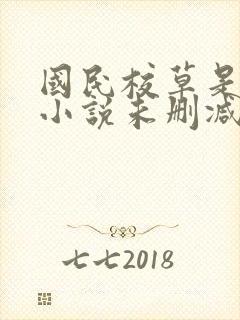 国民校草是女生小说未删减版