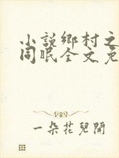 小说乡村之大被同眠全文免费阅读封面