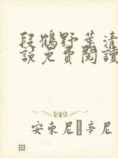 段鹤野叶清璃小说免费阅读最新章节封面