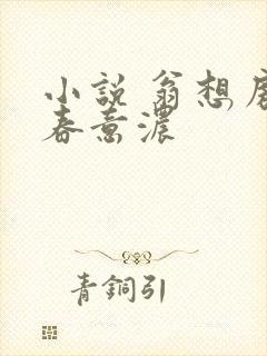 小说 翁想房中春意浓