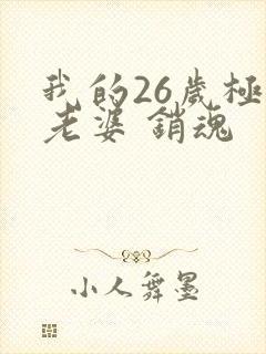 我的26岁极品老婆 销魂封面