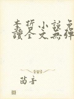 李哲小说免费阅读全文无弹窗封面