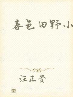 春色田野小说封面