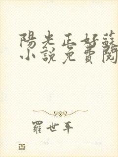 阳光正好苏玥玥小说免费阅读无弹窗封面