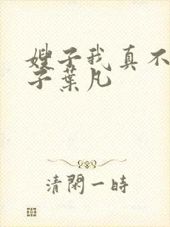 嫂子我真不是傻子叶凡封面