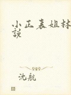 小正表姐林媛小说