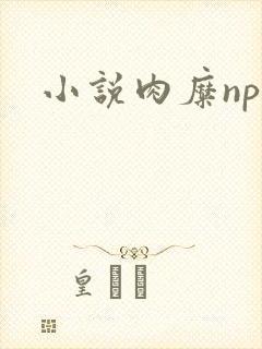 小说肉糜np