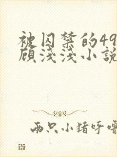 被囚禁的49天顾浅浅小说全文阅读无弹窗