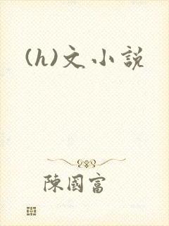 (h)文小说